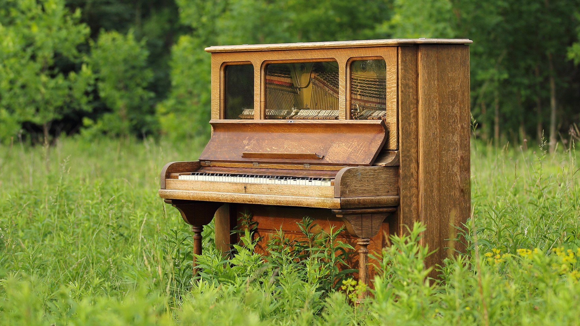 Old piano in the grass
