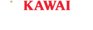 Kawai Christmas sale