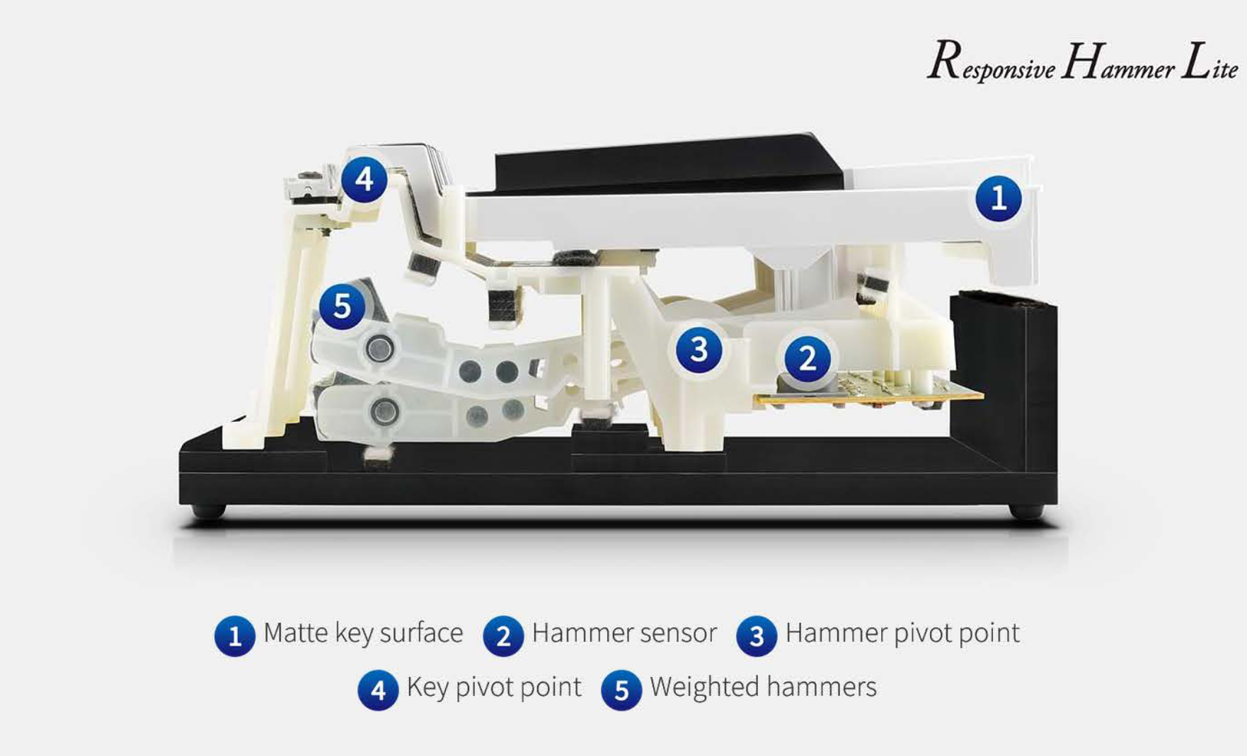 Kawai Responsive Hammer Lite key action