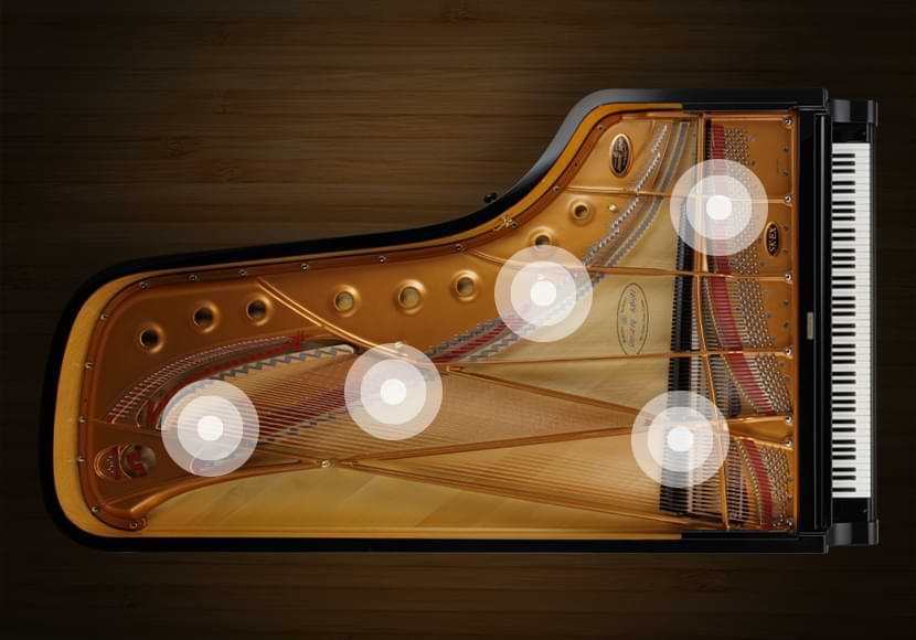Kawai NV6 Sound