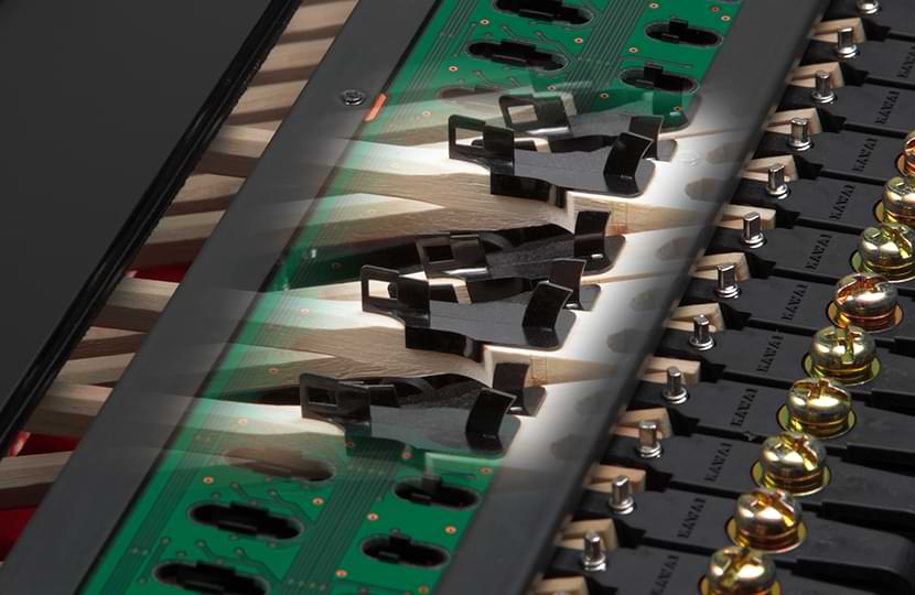 NV12 optical sensors