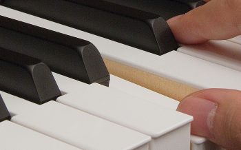 Kawai NEOTEX Key surface